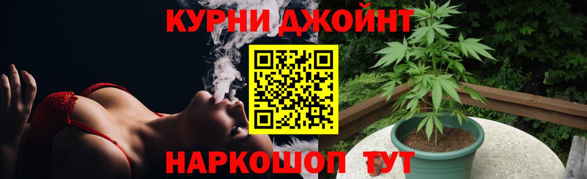 Каннабис гибрид  МАРИХУАНА сатива  Бошки Шишки гибрид  Саяногорск  Марихуана сатива  Вход с VPN 